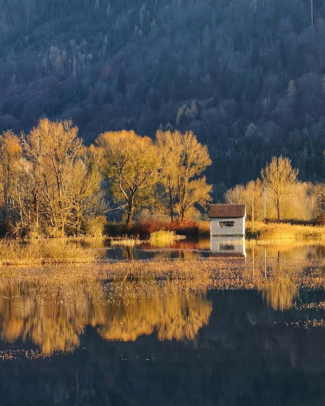 Ferienwohnung Resi Mit Traumhaftem Seepanorama Steindorf am Ossiacher See Exterior photo