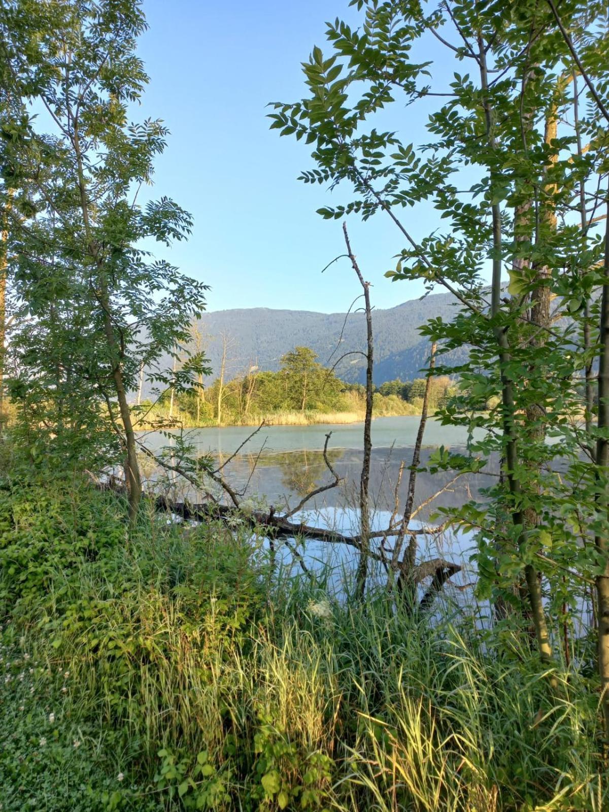 Ferienwohnung Resi Mit Traumhaftem Seepanorama Steindorf am Ossiacher See Exterior photo