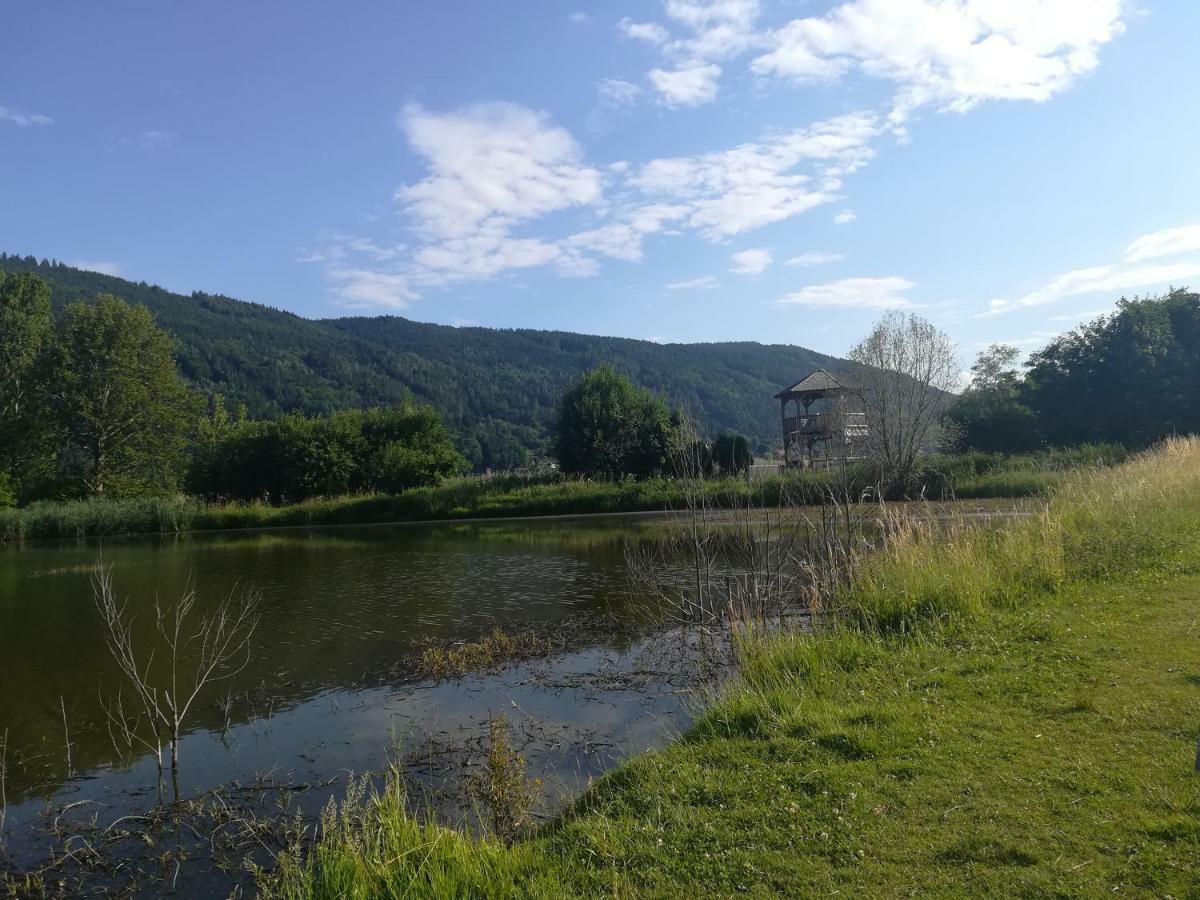 Ferienwohnung Resi Mit Traumhaftem Seepanorama Steindorf am Ossiacher See Exterior photo